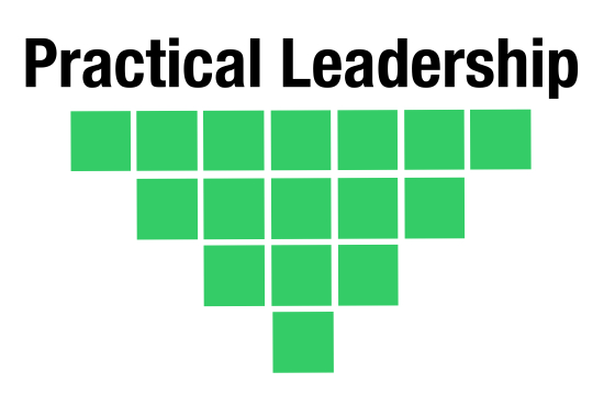 Practical Leadership C